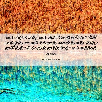 Picture 06 - ఆదికాండం 38:16 TELIRV - ఆమె దగ్గరికి - Bible Verse Picture