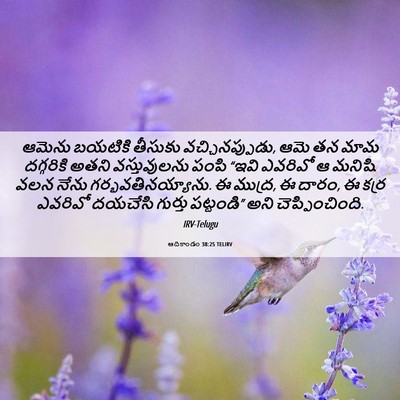 Picture 06 - ఆదికాండం 38:25 TELIRV - ఆమెను బయటికి - Bible Verse Picture