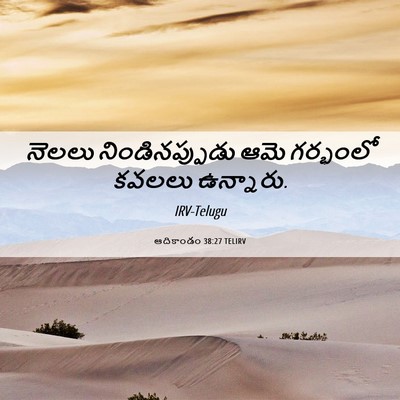 Picture 06 - ఆదికాండం 38:27 TELIRV - నెలలు - Bible Verse Picture