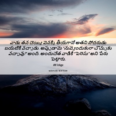 Picture 06 - ఆదికాండం 38:29 TELIRV - వాడు తన చెయ్యి - Bible Verse Picture