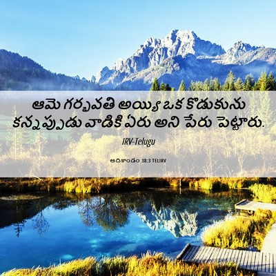 Picture 06 - ఆదికాండం 38:3 TELIRV - ఆమె గర్భవతి అయ్యి - Bible Verse Picture