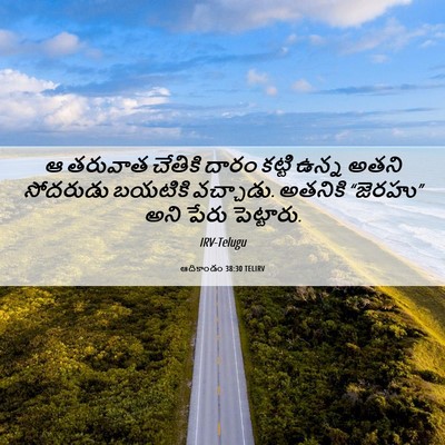 Picture 06 - ఆదికాండం 38:30 TELIRV - ఆ తరువాత చేతికి - Bible Verse Picture