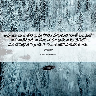Picture 06 - ఆదికాండం 39:12 TELIRV - అప్పుడామె అతని పై - Bible Verse Picture