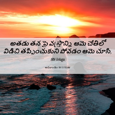 Picture 06 - ఆదికాండం 39:13 TELIRV - అతడు తన పై - Bible Verse Picture
