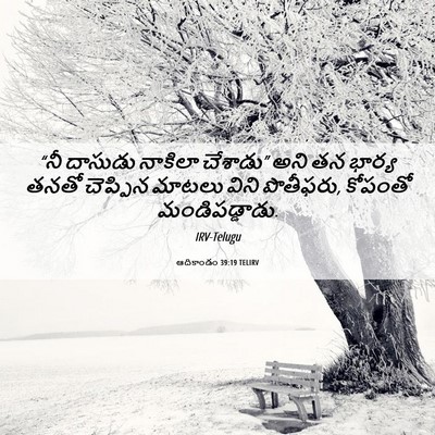 Picture 06 - ఆదికాండం 39:19 TELIRV - “నీ దాసుడు నాకిలా - Bible Verse Picture