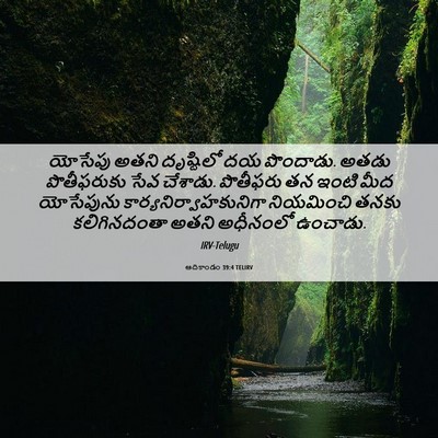 Picture 06 - ఆదికాండం 39:4 TELIRV - యోసేపు అతని - Bible Verse Picture