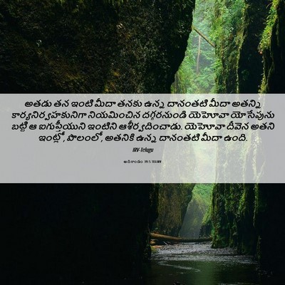 Picture 06 - ఆదికాండం 39:5 TELIRV - అతడు తన ఇంటి మీదా - Bible Verse Picture