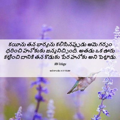 Picture 06 - ఆదికాండం 4:17 TELIRV - కయీను తన భార్యను - Bible Verse Picture