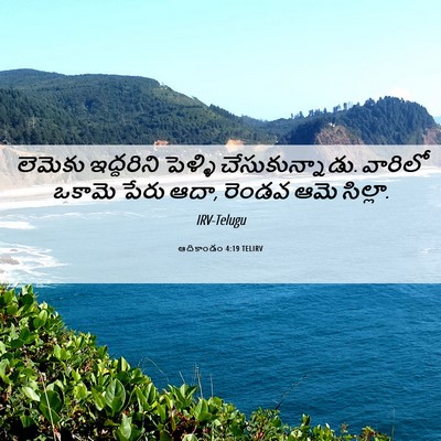 Picture 06 - ఆదికాండం 4:19 TELIRV - లెమెకు ఇద్దరిని - Bible Verse Picture
