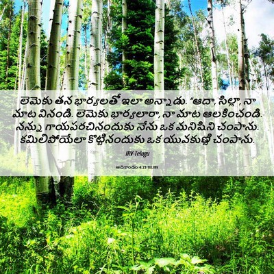 Picture 06 - ఆదికాండం 4:23 TELIRV - లెమెకు తన - Bible Verse Picture