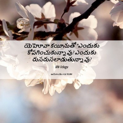 Picture 06 - ఆదికాండం 4:6 TELIRV - యెహోవా కయీనుతో - Bible Verse Picture