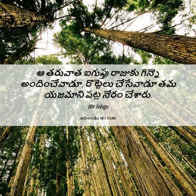 Picture 06 - ఆదికాండం 40:1 TELIRV - ఆ తరువాత ఐగుప్తు - Bible Verse Picture