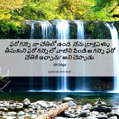 Picture 06 - ఆదికాండం 40:11 TELIRV - ఫరో గిన్నె నా - Bible Verse Picture