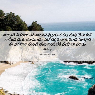 Picture 06 - ఆదికాండం 40:14 TELIRV - అయితే నీకంతా సరి - Bible Verse Picture