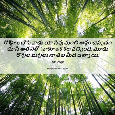 Picture 06 - ఆదికాండం 40:16 TELIRV - రొట్టెలు చేసే - Bible Verse Picture