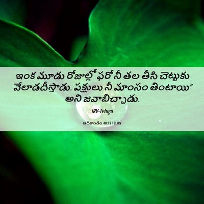 Picture 06 - ఆదికాండం 40:19 TELIRV - ఇంక మూడు రోజుల్లో - Bible Verse Picture