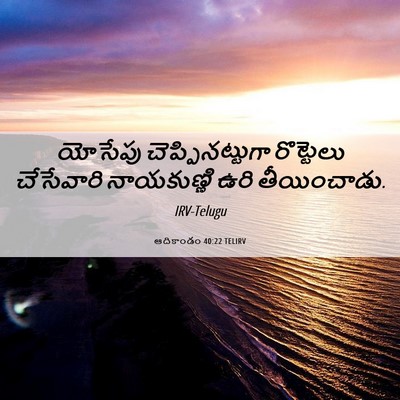 Picture 06 - ఆదికాండం 40:22 TELIRV - యోసేపు - Bible Verse Picture