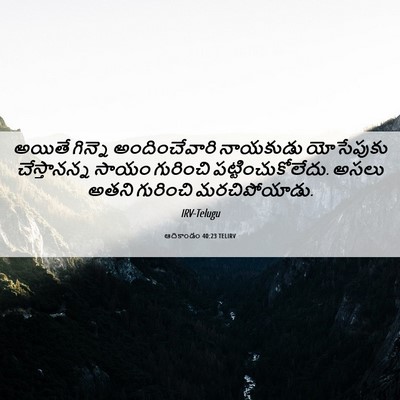 Picture 06 - ఆదికాండం 40:23 TELIRV - అయితే గిన్నె - Bible Verse Picture
