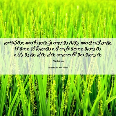 Picture 06 - ఆదికాండం 40:5 TELIRV - వారిద్దరూ, అంటే - Bible Verse Picture