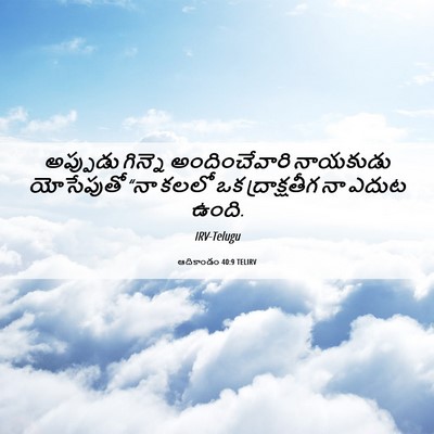 Picture 06 - ఆదికాండం 40:9 TELIRV - అప్పుడు గిన్నె - Bible Verse Picture