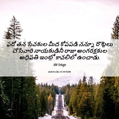 Picture 06 - ఆదికాండం 41:10 TELIRV - ఫరో తన సేవకుల మీద - Bible Verse Picture