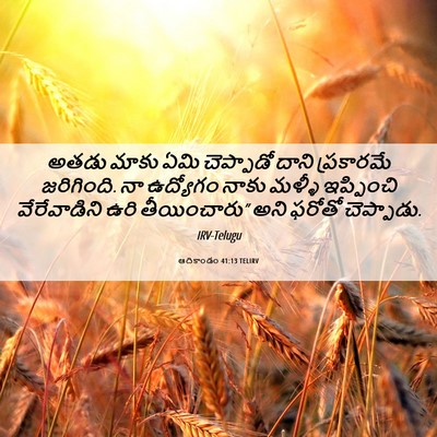 Picture 06 - ఆదికాండం 41:13 TELIRV - అతడు మాకు ఏమి - Bible Verse Picture