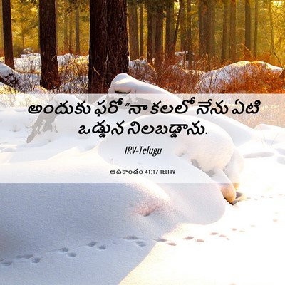 Picture 06 - ఆదికాండం 41:17 TELIRV - అందుకు ఫరో “నా - Bible Verse Picture