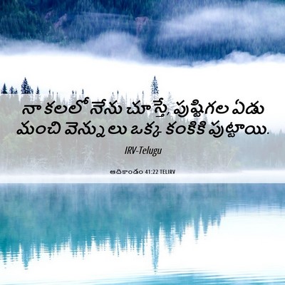 Picture 06 - ఆదికాండం 41:22 TELIRV - నా కలలో నేను - Bible Verse Picture
