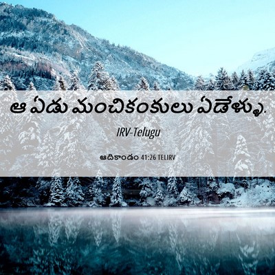 Picture 06 - ఆదికాండం 41:26 TELIRV - ఆ ఏడు మంచికంకులు - Bible Verse Picture