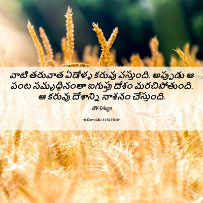 Picture 06 - ఆదికాండం 41:30 TELIRV - వాటి తరువాత - Bible Verse Picture