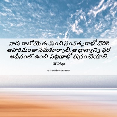 Picture 06 - ఆదికాండం 41:35 TELIRV - వారు రాబోయే ఈ మంచి - Bible Verse Picture