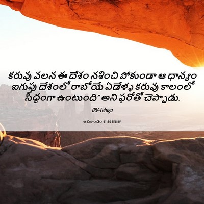 Picture 06 - ఆదికాండం 41:36 TELIRV - కరువు వలన ఈ దేశం - Bible Verse Picture