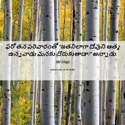 Picture 06 - ఆదికాండం 41:38 TELIRV - ఫరో తన పరివారంతో - Bible Verse Picture