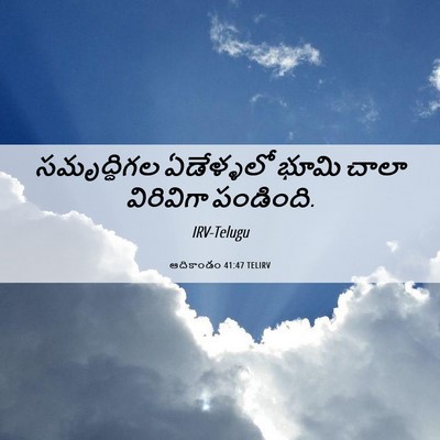 Picture 06 - ఆదికాండం 41:47 TELIRV - సమృద్ధిగల - Bible Verse Picture