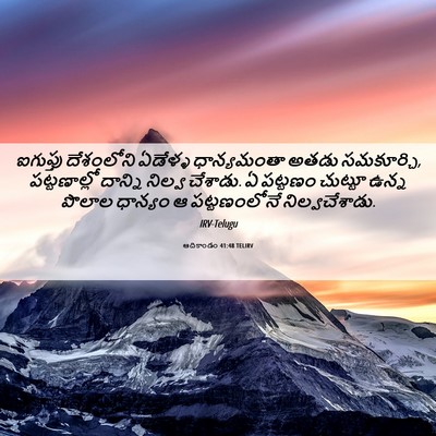 Picture 06 - ఆదికాండం 41:48 TELIRV - ఐగుప్తు దేశంలోని - Bible Verse Picture