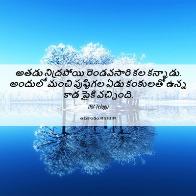 Picture 06 - ఆదికాండం 41:5 TELIRV - అతడు నిద్రపోయి - Bible Verse Picture
