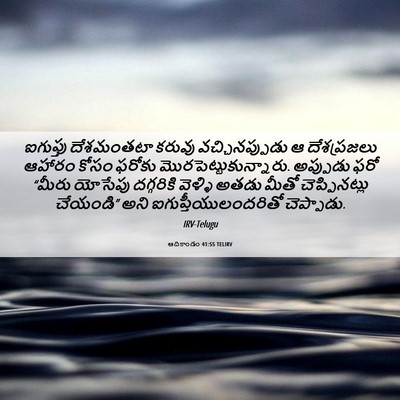 Picture 06 - ఆదికాండం 41:55 TELIRV - ఐగుప్తు దేశమంతటా - Bible Verse Picture