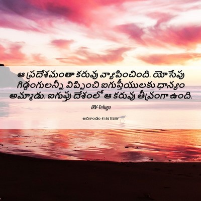 Picture 06 - ఆదికాండం 41:56 TELIRV - ఆ ప్రదేశమంతా - Bible Verse Picture