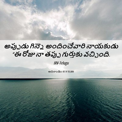 Picture 06 - ఆదికాండం 41:9 TELIRV - అప్పుడు గిన్నె - Bible Verse Picture