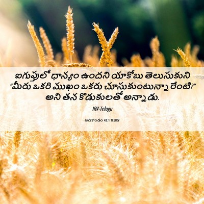 Picture 06 - ఆదికాండం 42:1 TELIRV - ఐగుప్తులో ధాన్యం - Bible Verse Picture