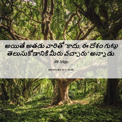 Picture 06 - ఆదికాండం 42:12 TELIRV - అయితే అతడు వారితో - Bible Verse Picture