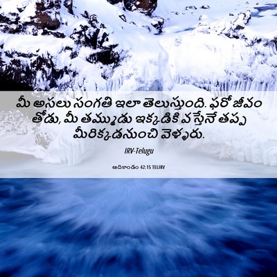 Picture 06 - ఆదికాండం 42:15 TELIRV - మీ అసలు సంగతి ఇలా - Bible Verse Picture