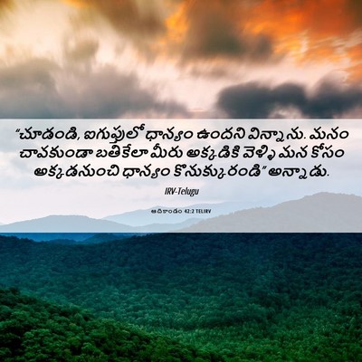 Picture 06 - ఆదికాండం 42:2 TELIRV - “చూడండి, - Bible Verse Picture