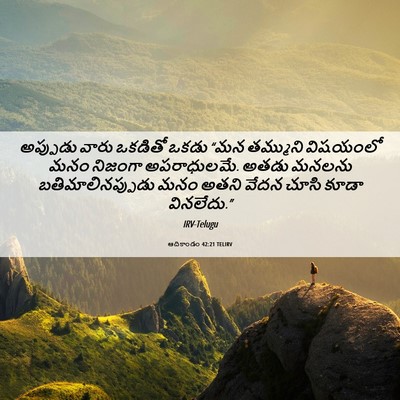 Picture 06 - ఆదికాండం 42:21 TELIRV - అప్పుడు వారు - Bible Verse Picture