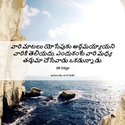 Picture 06 - ఆదికాండం 42:23 TELIRV - వారి మాటలు - Bible Verse Picture