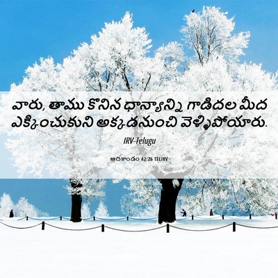 Picture 06 - ఆదికాండం 42:26 TELIRV - వారు, తాము కొనిన - Bible Verse Picture