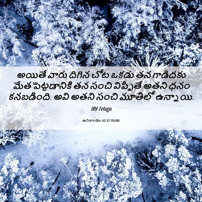 Picture 06 - ఆదికాండం 42:27 TELIRV - అయితే వారు దిగిన - Bible Verse Picture