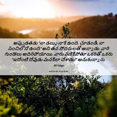 Picture 06 - ఆదికాండం 42:28 TELIRV - అప్పుడతడు “నా - Bible Verse Picture