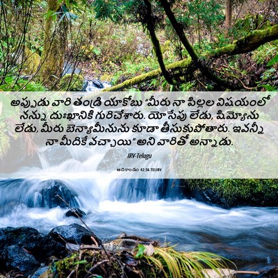 Picture 06 - ఆదికాండం 42:36 TELIRV - అప్పుడు వారి - Bible Verse Picture