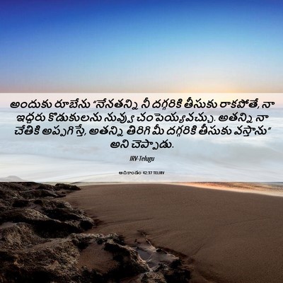Picture 06 - ఆదికాండం 42:37 TELIRV - అందుకు రూబేను - Bible Verse Picture
